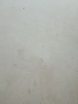 Lyly-68688 online show from April 15, 1:00 am