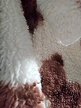 Virgin Pussy SquirtX online show from January 15, 7:34 am