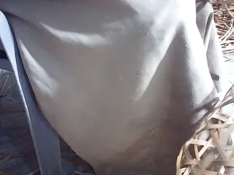 Snapshot of Futar8388 chatting on January 13, 12:20 pm Futar8388 online show from January 13, 12:20 pm