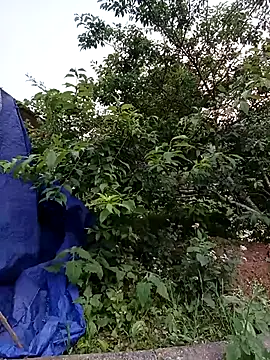 -Likin- online show from April 10, 11:06 am