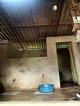 -Likin- online show from March 31, 9:33 am