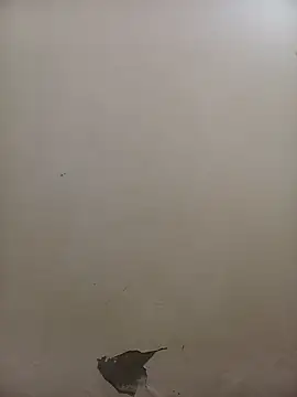 PatriciaVen online show from February 5, 5:36 am