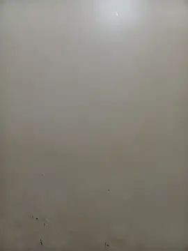 PatriciaVen online show from February 4, 5:02 am