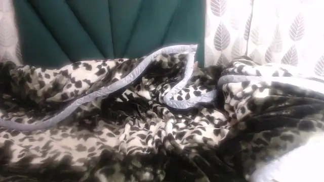 Nellybba online show from March 8, 4:21 pm