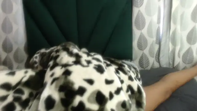 Nellybba online show from March 27, 5:49 am