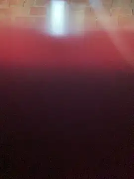 Jaycob smith online show from April 13, 8:24 pm