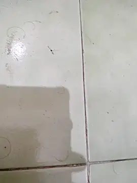 Snapshot of TamilBoy3007 chatting on February 6, 7:32 pm TamilBoy3007 online show from February 6, 7:32 pm