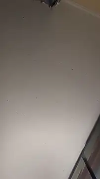 sterng6969 online show from March 13, 5:56 am