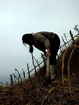 miumiu sexy2x online show from April 1, 2:02 am