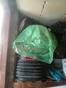 dicklife3485 online show from April 14, 9:03 am