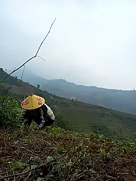 Nga x9 online show from March 13, 7:24 am