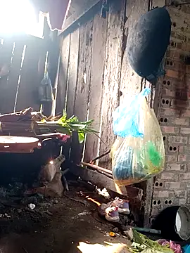 out-lustt online show from March 27, 8:01 am