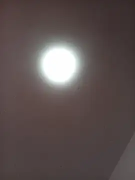 OrianaNorth online show from May 5, 1:47 pm