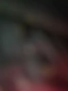 nmducnb online show from March 12, 8:40 am