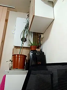 AdaJoy online show from March 17, 9:29 pm