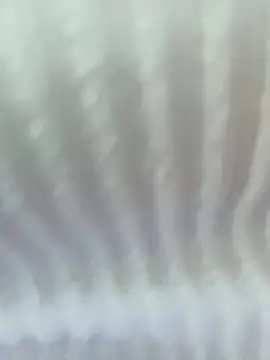 Snapshot of Your_Enyel chatting on February 3, 12:43 am Your Enyel online show from February 3, 12:43 am