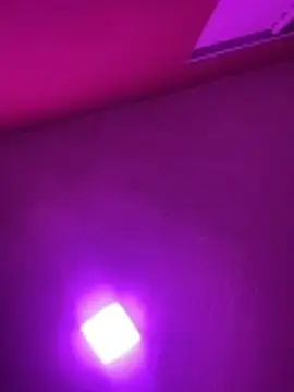 MorenaCariok online show from February 17, 4:37 pm