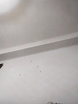 anastasiadaniela online show from February 12, 1:38 am