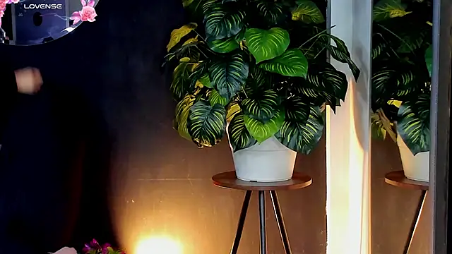 Noaah25  online show from April 10, 3:24 am