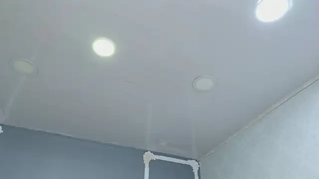 HaileyTims online show from April 29, 11:36 am