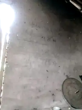 Gummiesu online show from February 3, 6:40 am