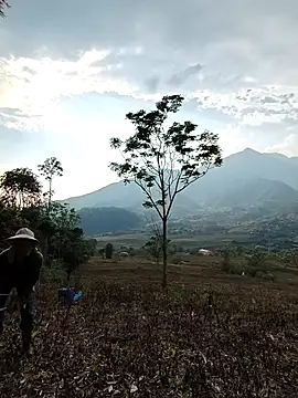 Jooj- online show from March 22, 9:00 am