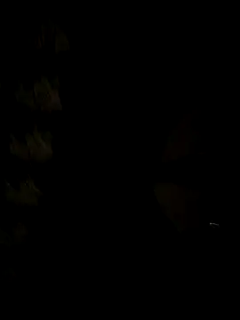 BLR-BOYZZZZZZZZ online show from February 18, 7:10 pm