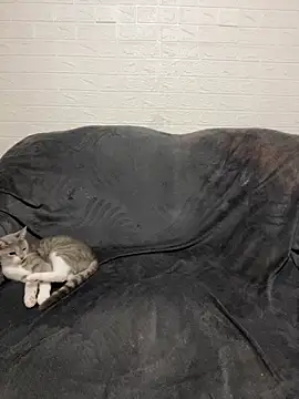 AlisRoxy online show from February 28, 9:25 pm