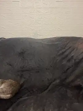 AlisRoxy online show from March 15, 9:00 pm