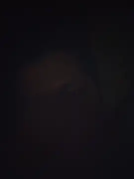 Pravin9562 online show from March 4, 7:10 pm