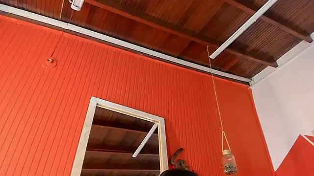 maria Turner1 online show from February 9, 2:15 pm