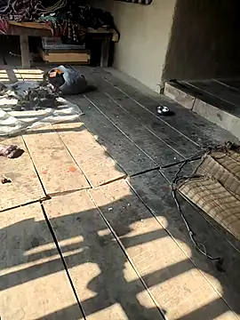 sujase online show from January 16, 6:39 am