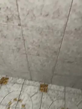 Snapshot of Kalisto2026 chatting on March 6, 3:40 pm Kalisto2026 online show from March 6, 3:40 pm