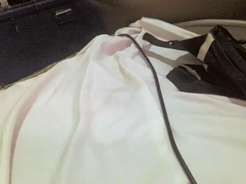 Snapshot of champers1234 chatting on February 13, 12:49 pm champers1234 online show from February 13, 12:49 pm