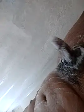 Snapshot of daringprince chatting on January 17, 6:22 pm daringprince online show from January 17, 6:22 pm