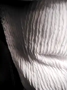 Snapshot of RosseLaure chatting on February 25, 7:58 pm RosseLaure online show from February 25, 7:58 pm