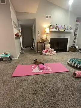 Pink mink21 online show from February 3, 3:48 am