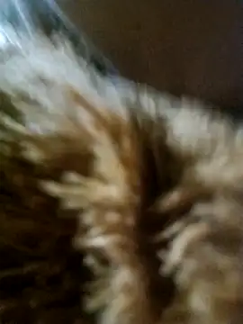 big12phase online show from March 15, 10:06 pm