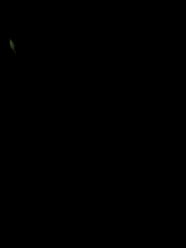 big12phase online show from March 14, 4:51 am