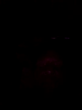 01Wetlips online show from June 15, 1:28 am