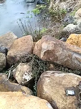 costt2 online show from January 18, 11:02 am