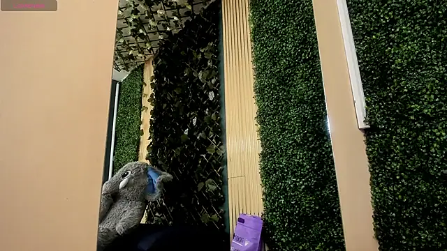 AmberAddamss online show from February 22, 2:41 pm