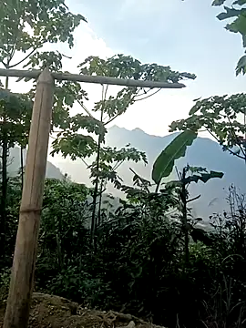 cutebobi online show from March 30, 9:55 am