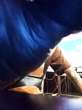 blackninja66 online show from March 13, 2:27 am