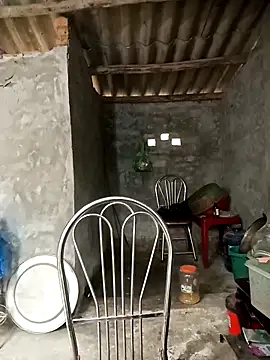 Nuna 689 online show from April 3, 3:35 am