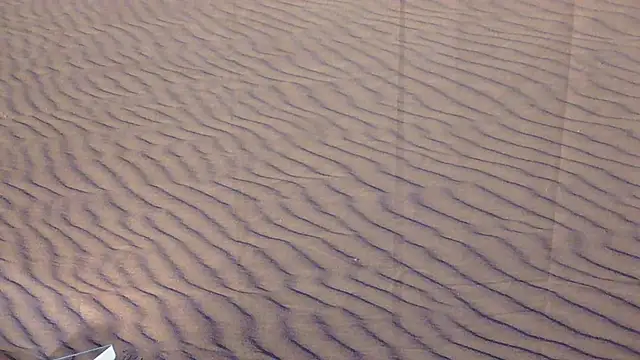 BusyB1983 online show from March 20, 12:44 am