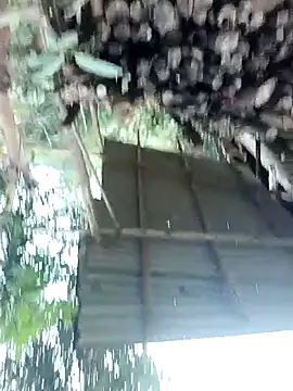 meomeo30 online show from February 11, 8:36 am