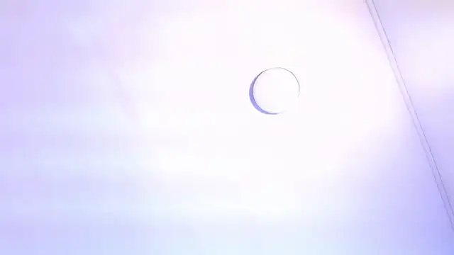 TINY TAY online show from February 11, 12:05 pm