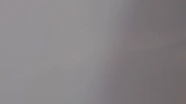 Snapshot of adara_cute_69 chatting on February 5, 6:15 pm adara cute 69 online show from February 5, 6:15 pm