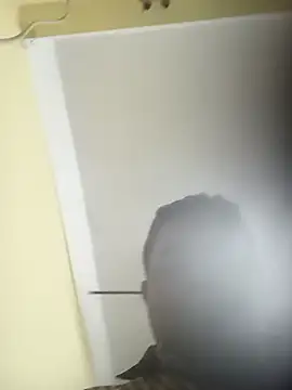 deshilnd online show from April 2, 3:30 pm